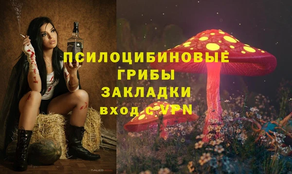 ГАЛЛЮЦИНОГЕННЫЕ ГРИБЫ Алексин