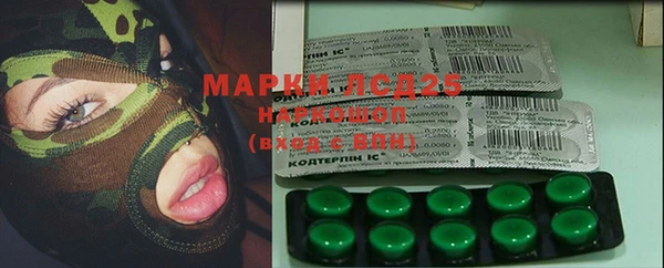 ГАЛЛЮЦИНОГЕННЫЕ ГРИБЫ Алексин