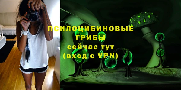ГАЛЛЮЦИНОГЕННЫЕ ГРИБЫ Алексин