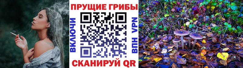 omg ссылка  Шацк  Псилоцибиновые грибы Magic Shrooms 
